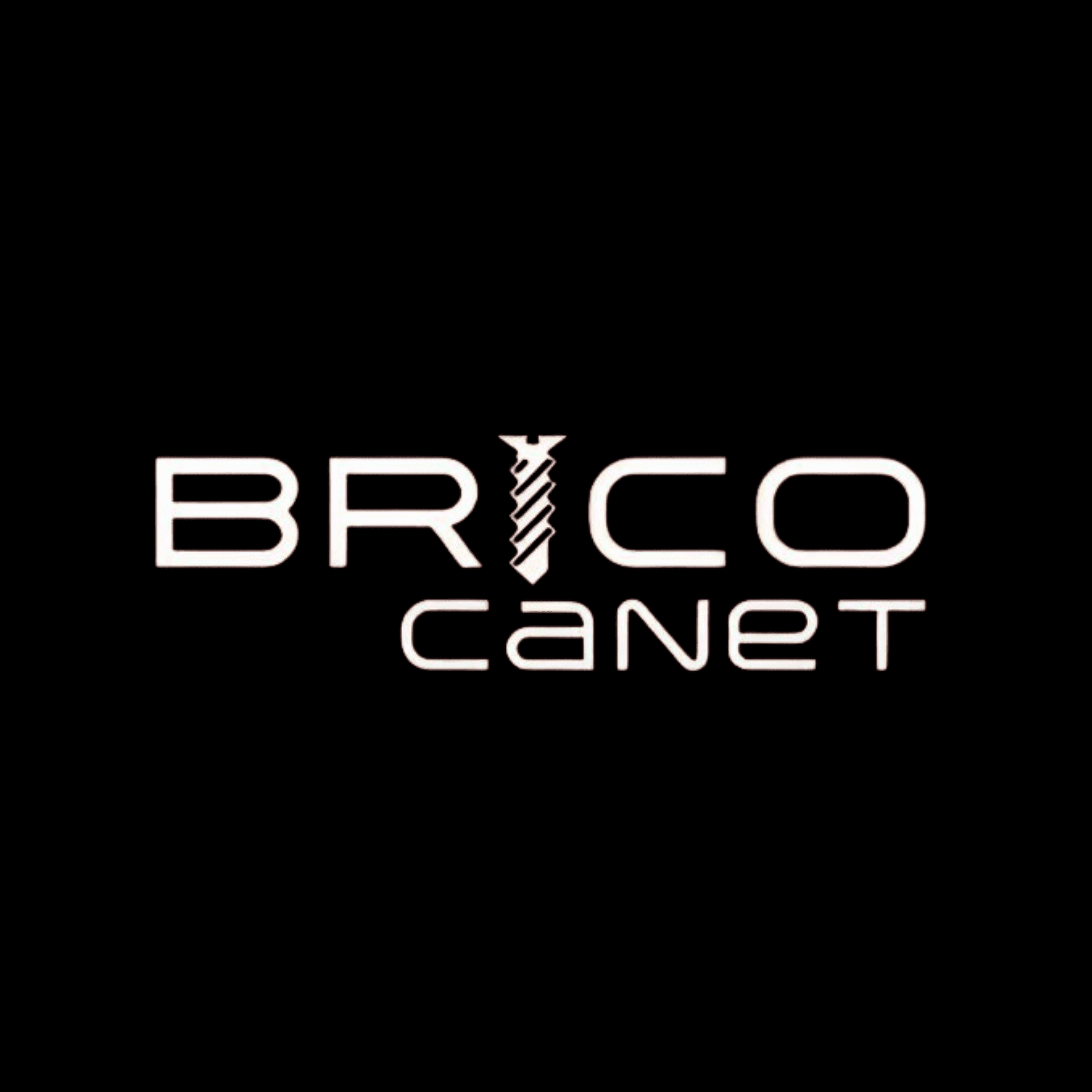 Logo de Brico Canet